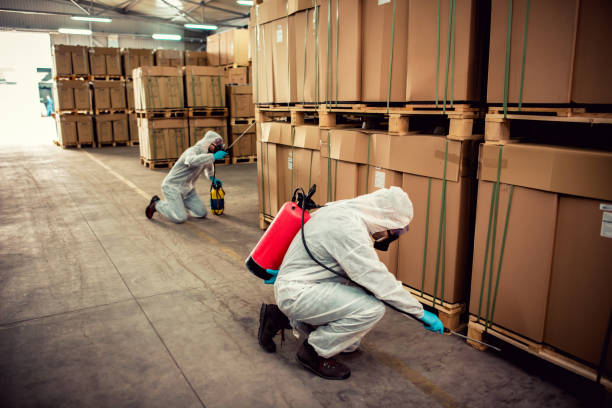 Best Affordable Exterminators  in Anna, IL