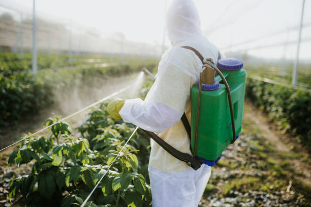 Best Affordable Pest Control Services  in Anna, IL